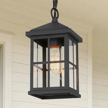 Bartholomew 1-Light Outdoor Hanging Lantern 133.32