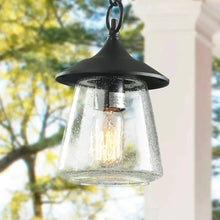 Webb 9.5"H 1-Light Outdoor Hanging Lantern 