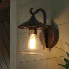 Victoria 9.8"H 1-Light Outdoor Wall Lantern 85.99