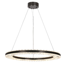 Macrobotrys 1-Light 24" Glam Black Circle LED Chandelier