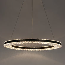 Macrobotrys 1-Light 24" Glam Black Circle LED Chandelier