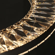 Macrobotrys 1-Light 24" Glam Black Circle LED Chandelier