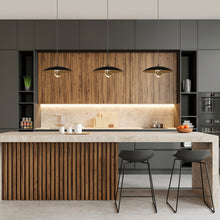 Eleutherius 1-Light 14" Modern Black and Brass LED Pendant Light