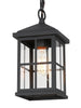 Bartholomew 1-Light Outdoor Hanging Lantern 133.32