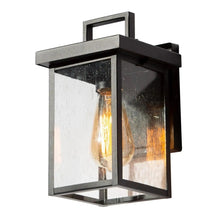 Frederica 10.5"H 1-Light Outdoor Wall Lantern 