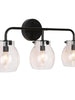 Matte Black Vanity Lights with Clear Glass Globe 153.99