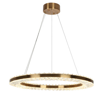 Macrobotrys 1-Light 24" Glam Brass Circle LED Chandelier