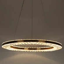 Macrobotrys 1-Light 24" Glam Brass Circle LED Chandelier